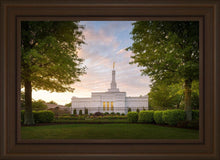 Load image into Gallery viewer, Nashville Trees