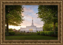 Load image into Gallery viewer, Nashville Trees