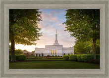 Load image into Gallery viewer, Nashville Trees