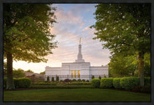 Load image into Gallery viewer, Nashville Trees
