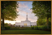 Load image into Gallery viewer, Nashville Trees