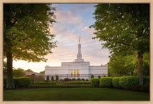 Load image into Gallery viewer, Nashville Trees