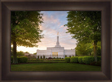 Load image into Gallery viewer, Nashville Trees
