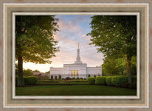 Load image into Gallery viewer, Nashville Trees