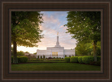 Load image into Gallery viewer, Nashville Trees