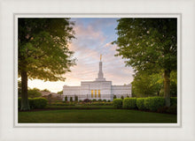 Load image into Gallery viewer, Nashville Trees