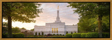 Load image into Gallery viewer, Nashville Trees