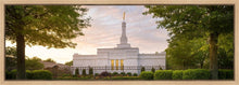 Load image into Gallery viewer, Nashville Trees