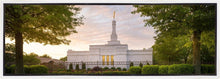 Load image into Gallery viewer, Nashville Trees