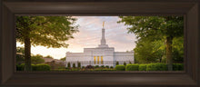Load image into Gallery viewer, Nashville Trees