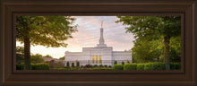 Load image into Gallery viewer, Nashville Trees