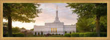 Load image into Gallery viewer, Nashville Trees