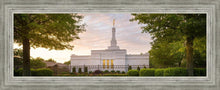 Load image into Gallery viewer, Nashville Trees