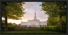 Load image into Gallery viewer, Nashville Trees