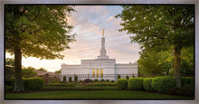 Load image into Gallery viewer, Nashville Trees