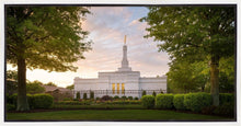Load image into Gallery viewer, Nashville Trees