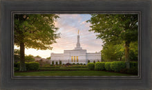 Load image into Gallery viewer, Nashville Trees