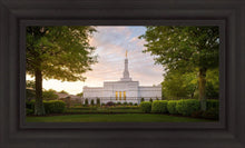 Load image into Gallery viewer, Nashville Trees