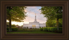 Load image into Gallery viewer, Nashville Trees