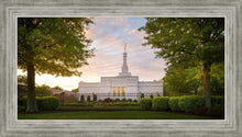 Load image into Gallery viewer, Nashville Trees