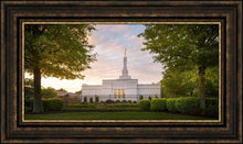 Load image into Gallery viewer, Nashville Trees