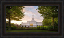 Load image into Gallery viewer, Nashville Trees