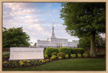 Load image into Gallery viewer, Nashville Late Afternoon