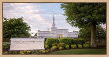 Load image into Gallery viewer, Nashville Late Afternoon