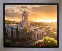 Load image into Gallery viewer, Newport Beach Sunny Aerial
