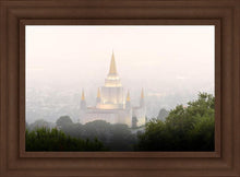 Load image into Gallery viewer, Foggy Oakland