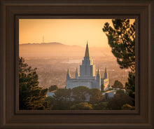 Load image into Gallery viewer, Golden Oakland