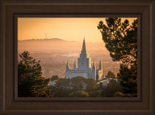 Load image into Gallery viewer, Golden Oakland