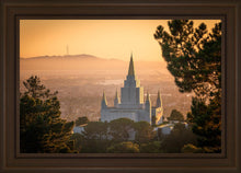 Load image into Gallery viewer, Golden Oakland