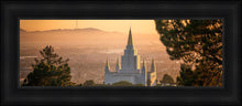 Load image into Gallery viewer, Golden Oakland