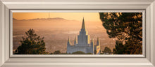 Load image into Gallery viewer, Golden Oakland