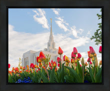 Load image into Gallery viewer, Ogden Flowers