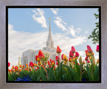 Load image into Gallery viewer, Ogden Flowers
