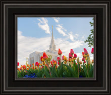Load image into Gallery viewer, Ogden Flowers