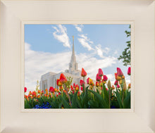 Load image into Gallery viewer, Ogden Flowers