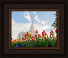 Load image into Gallery viewer, Ogden Flowers