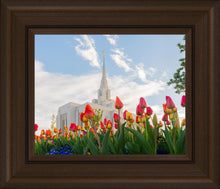 Load image into Gallery viewer, Ogden Flowers