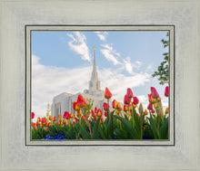Load image into Gallery viewer, Ogden Flowers