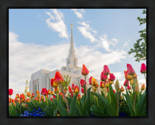 Load image into Gallery viewer, Ogden Flowers