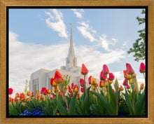 Load image into Gallery viewer, Ogden Flowers