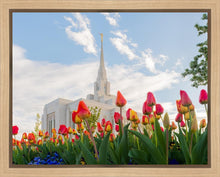 Load image into Gallery viewer, Ogden Flowers