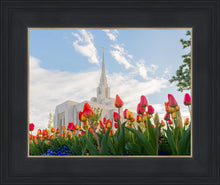 Load image into Gallery viewer, Ogden Flowers
