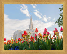 Load image into Gallery viewer, Ogden Flowers