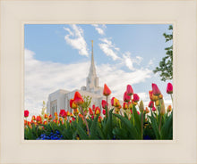 Load image into Gallery viewer, Ogden Flowers