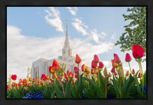 Load image into Gallery viewer, Ogden Flowers