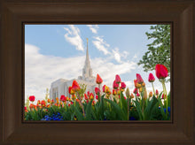 Load image into Gallery viewer, Ogden Flowers